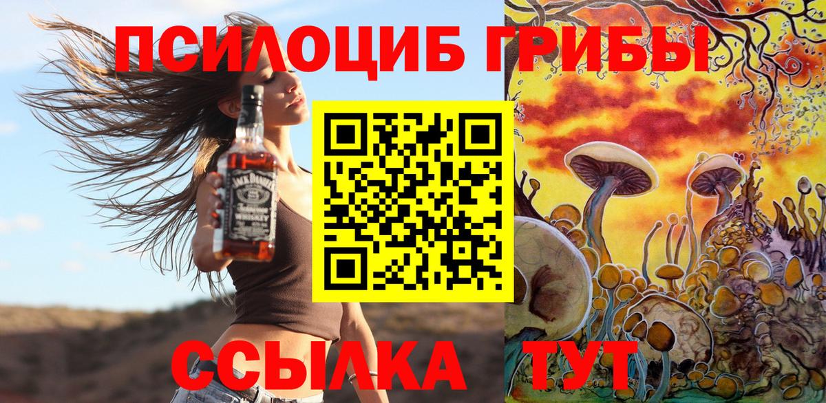 Псилоцибиновые грибы Psilocybe Октябрьский