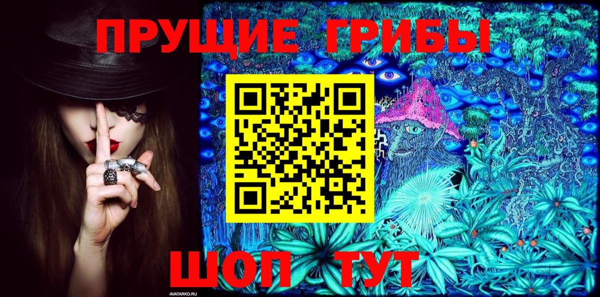 Псилоцибиновые грибы GOLDEN TEACHER  Галлюциногенные грибы Cubensis  Октябрьский  Вход с VPN 